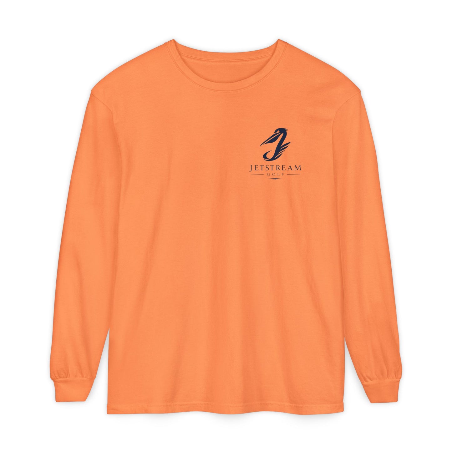 Jetstream Airplane Graphic Long Sleeve Tee